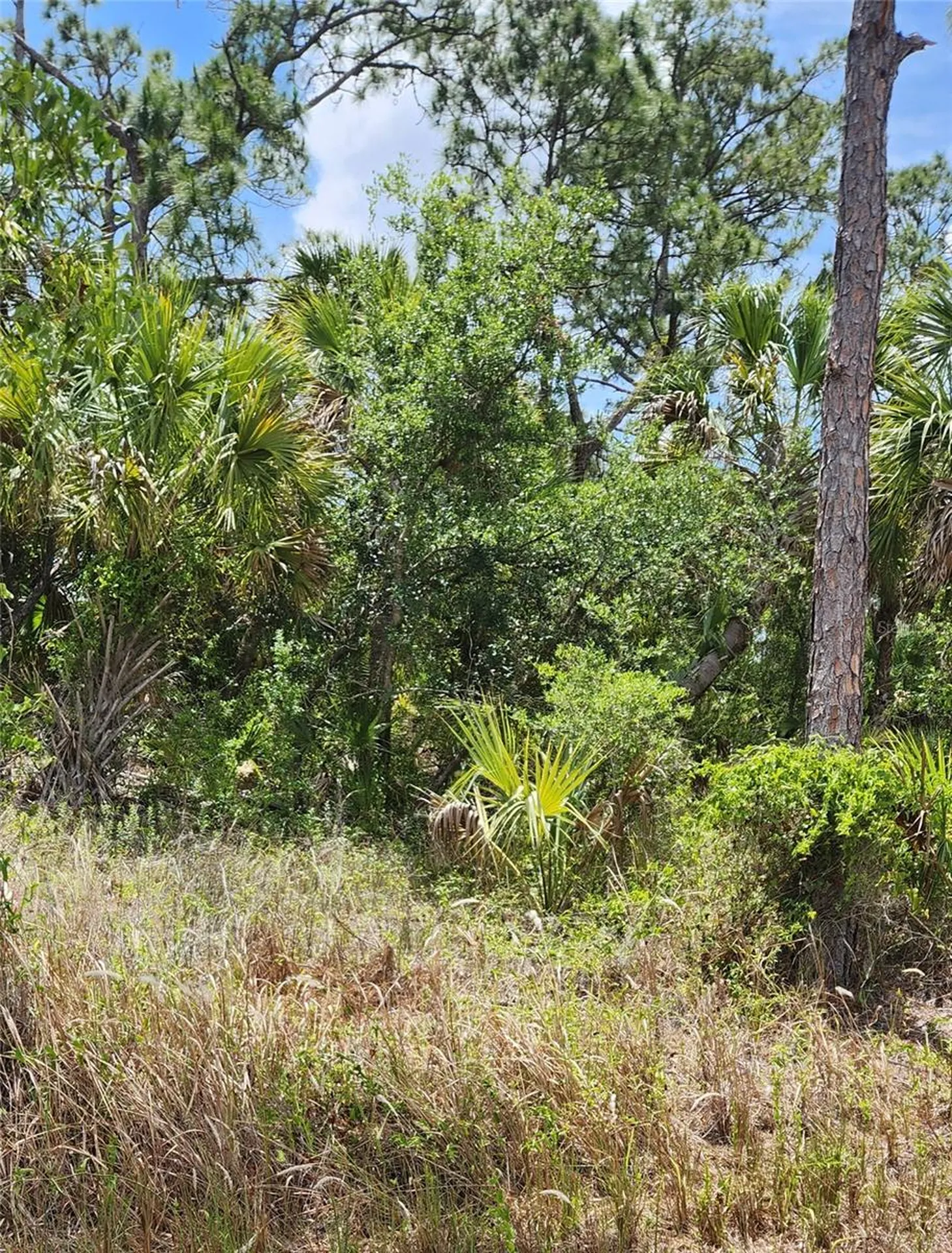 Inverness Street North Port FL 34288