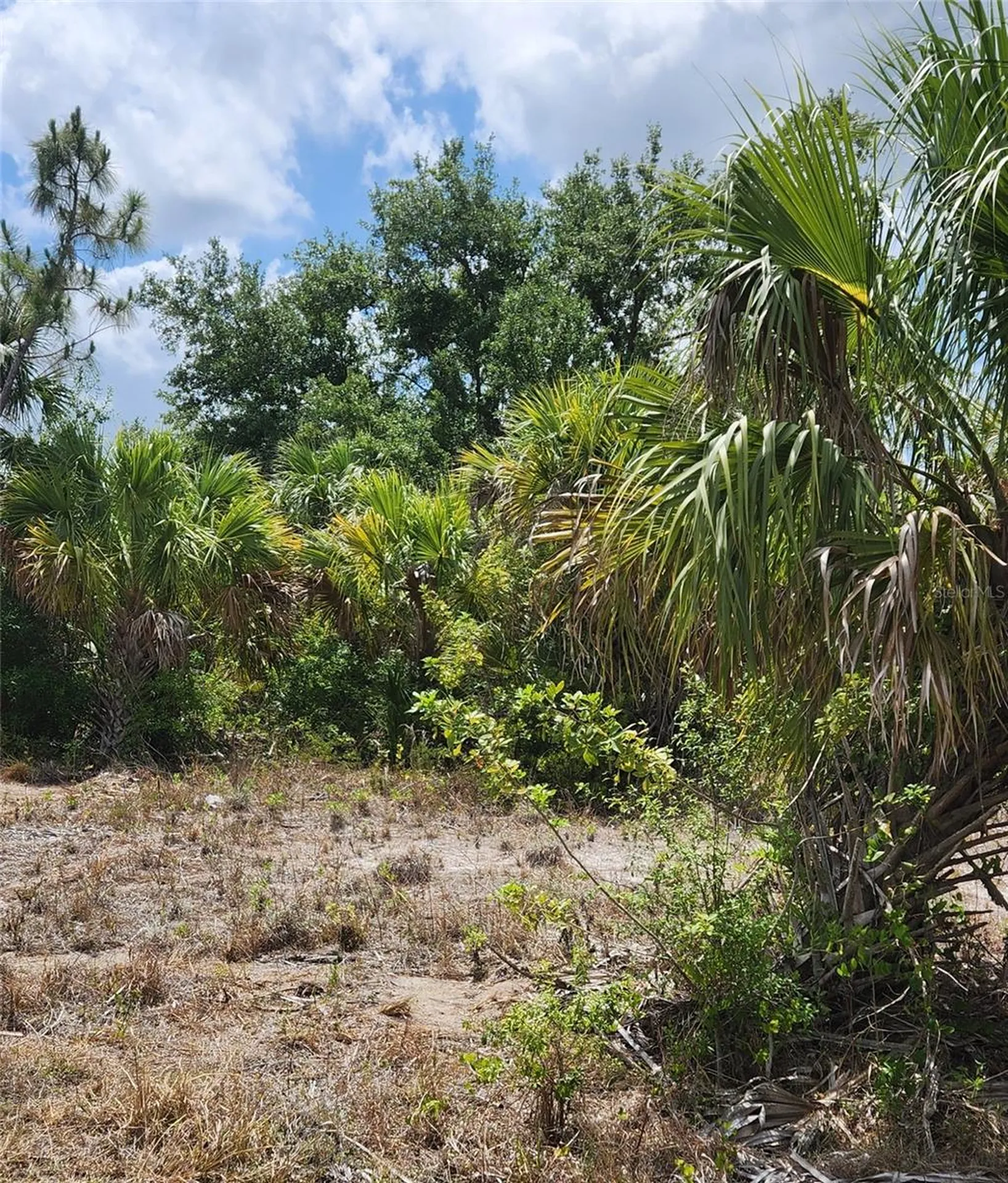 Bennington Street North Port FL 34288