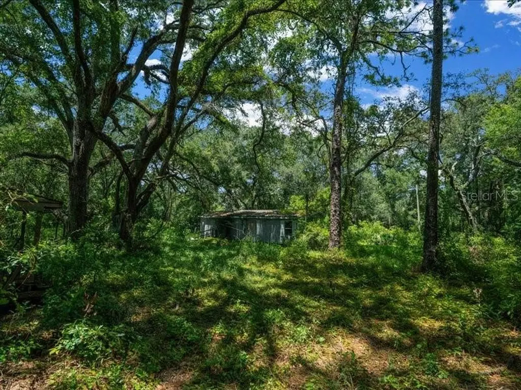 13768 County Road 475 Oxford FL 34484