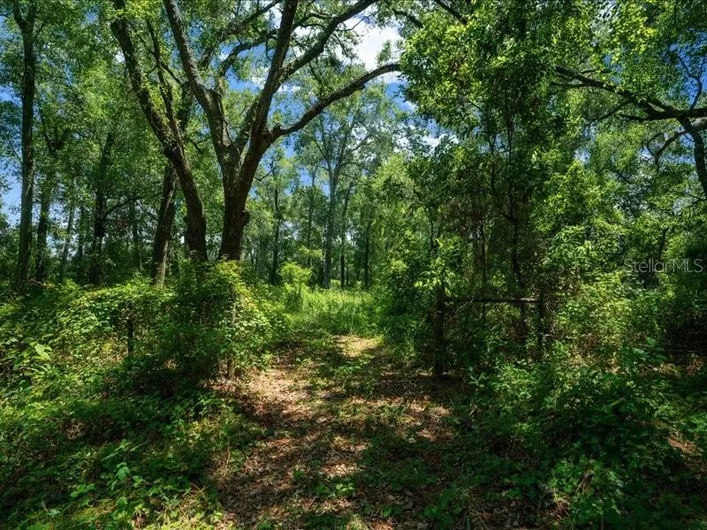 13768 County Road 475 Oxford FL 34484