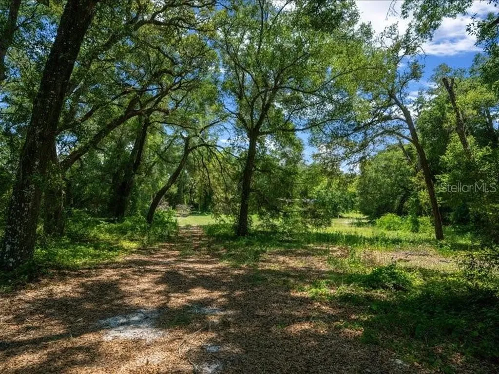 13768 County Road 475 Oxford FL 34484
