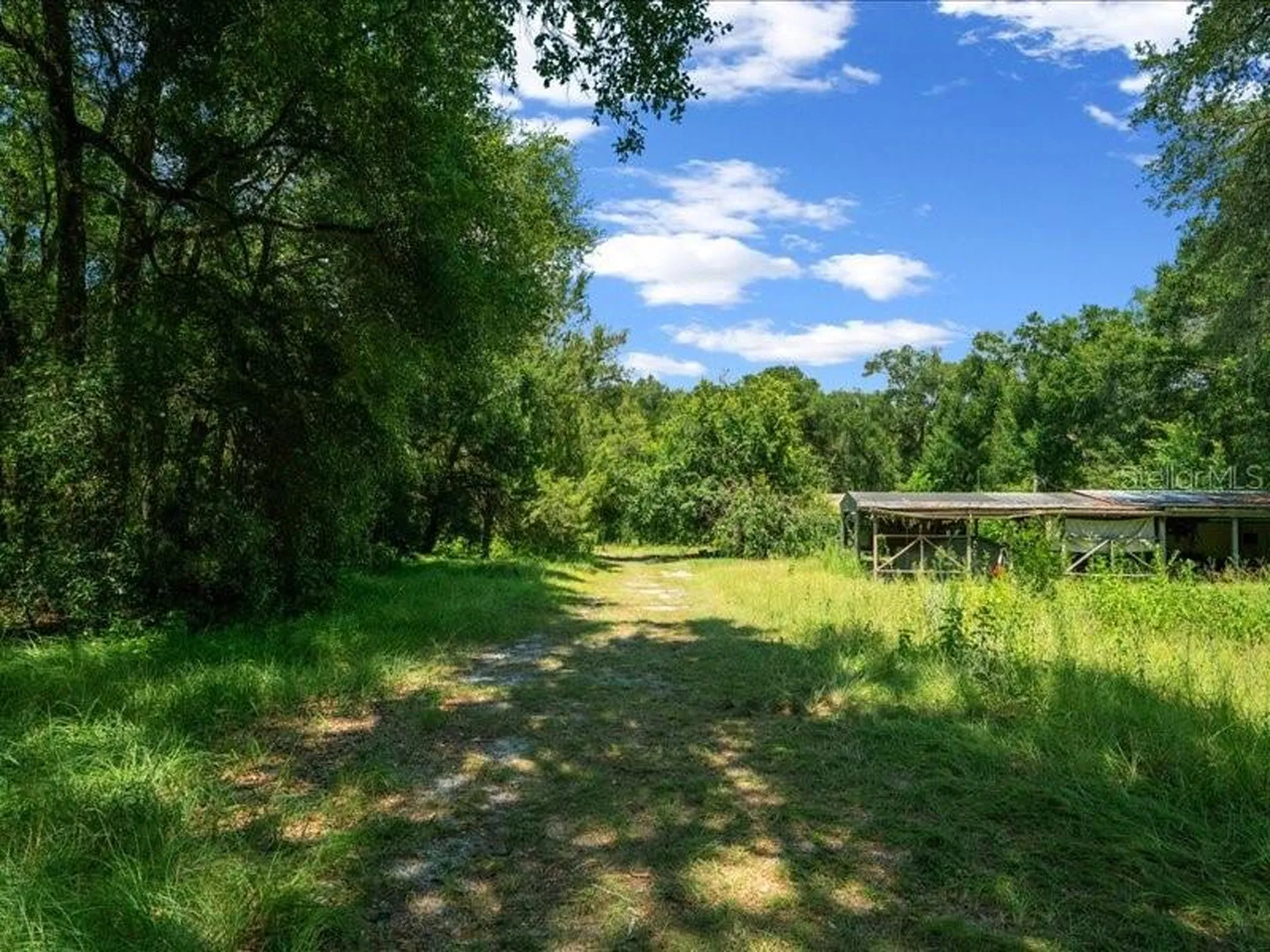 13768 County Road 475 Oxford FL 34484