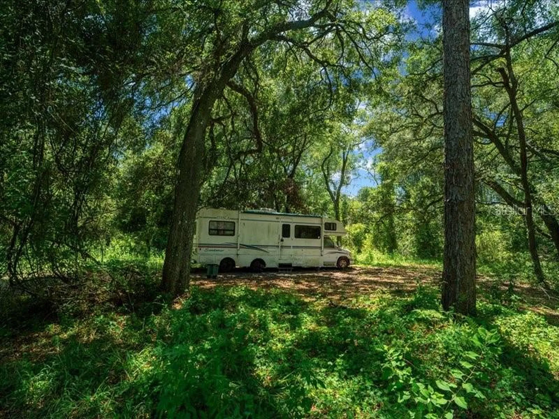 13768 County Road 475 Oxford FL 34484