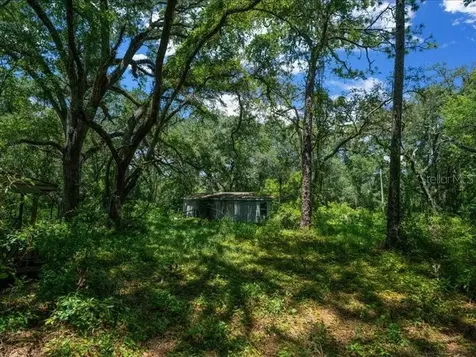 13768 County Road 475 Oxford FL 34484