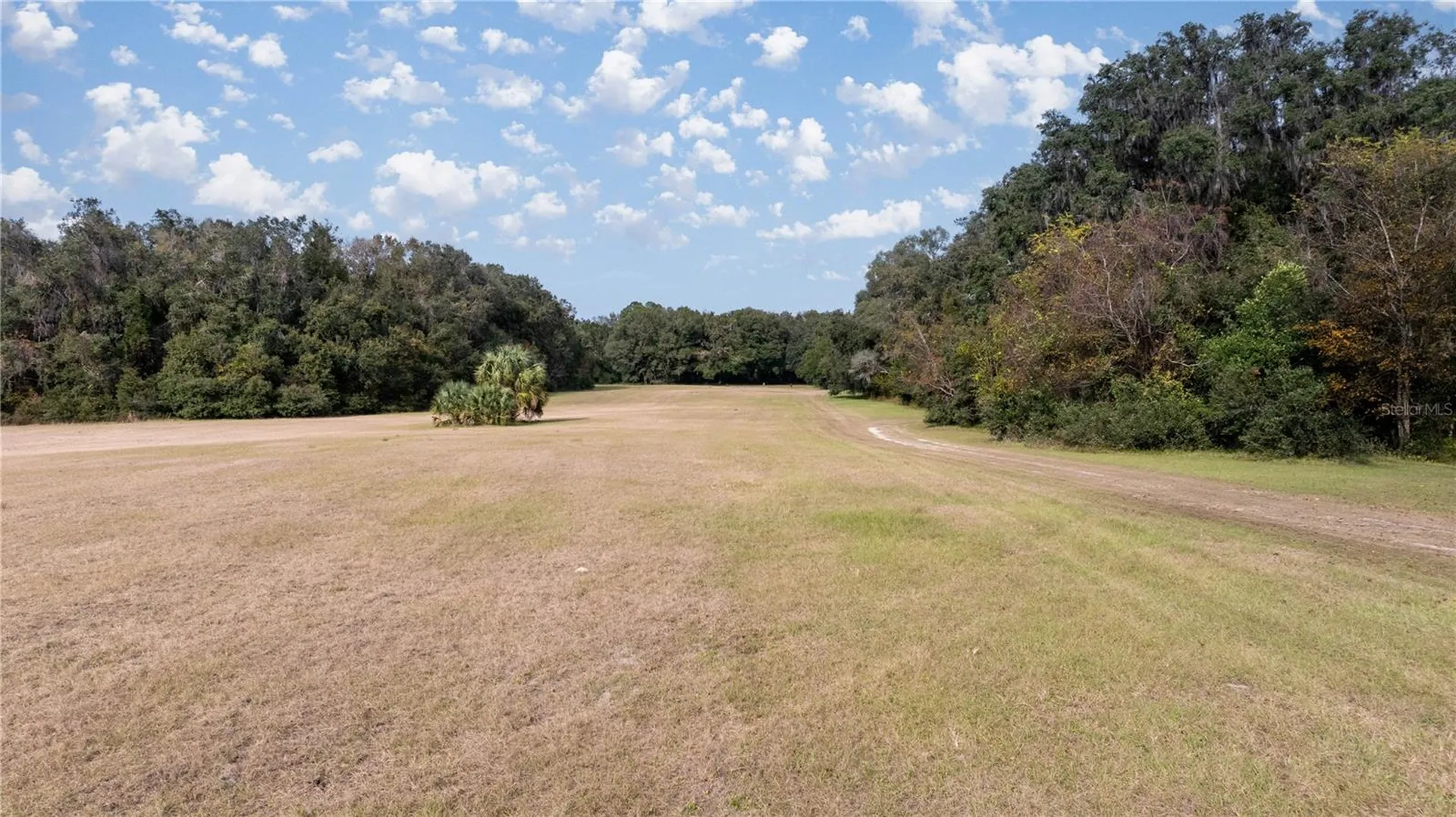 4068 SW 62nd Avenue Gainesville FL 32608