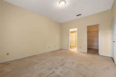 11431 Peachstone Court Orlando FL 32821