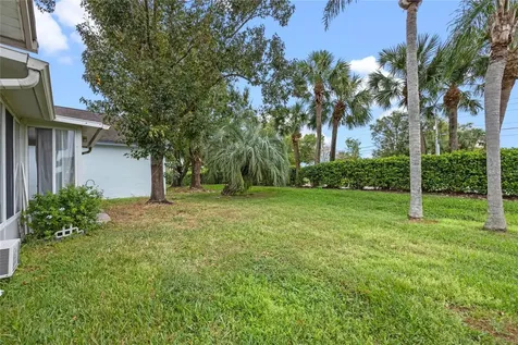 11431 Peachstone Court Orlando FL 32821