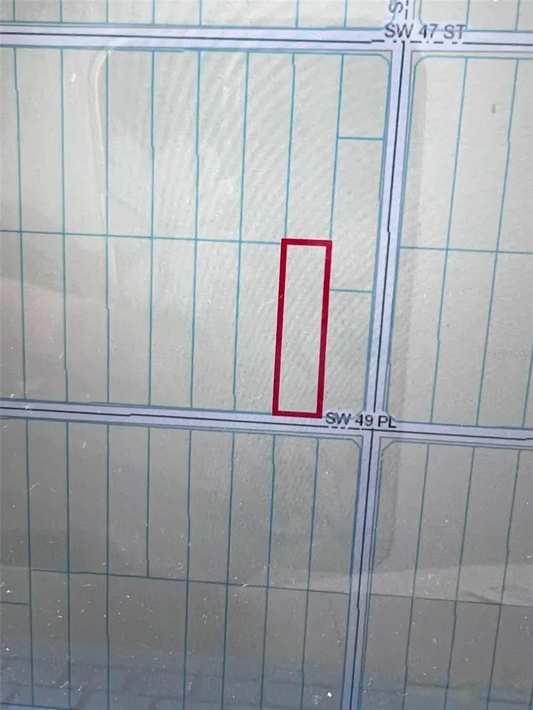 SW 49 Place Dunnellon FL 34432