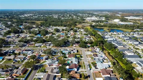 8240 Greenleaf Circle Tampa FL 33615