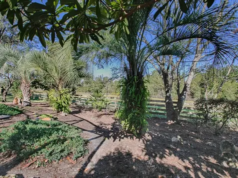 33236 Grand Cypress Way Leesburg FL 34748