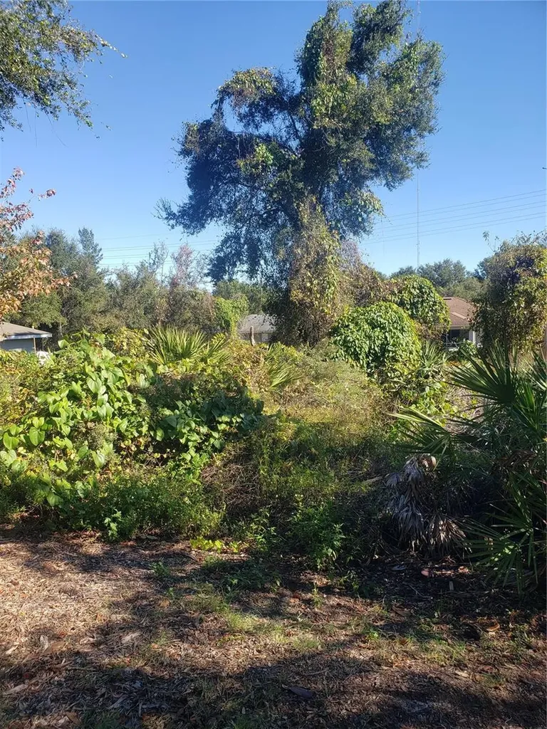 Chestnut Avenue Orange City FL 32763