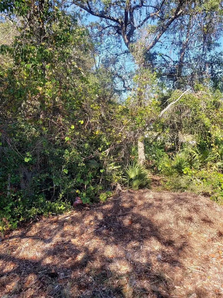 Chestnut Avenue Orange City FL 32763