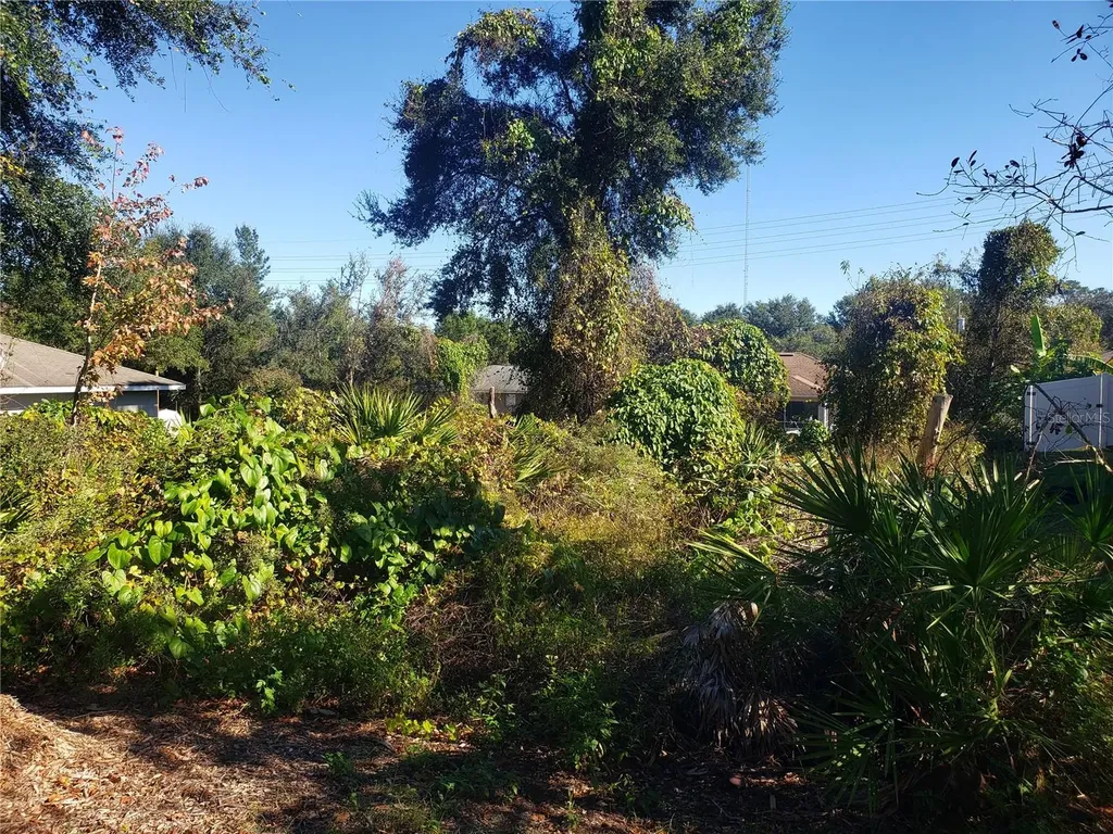 Chestnut Avenue Orange City FL 32763