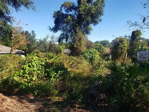 Chestnut Avenue Orange City FL 32763