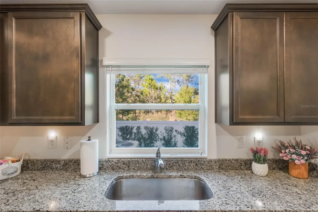 1592 Wynford Circle Tavares FL 32778