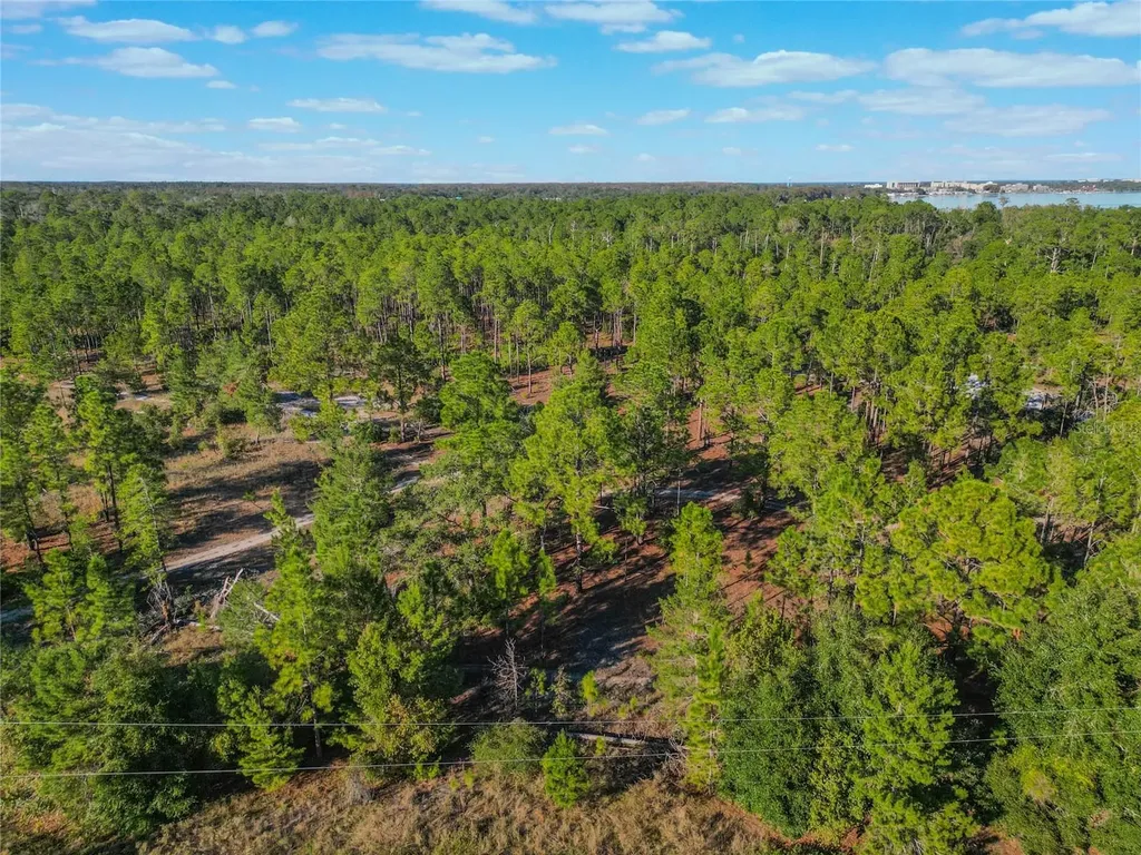 1592 Wynford Circle Tavares FL 32778