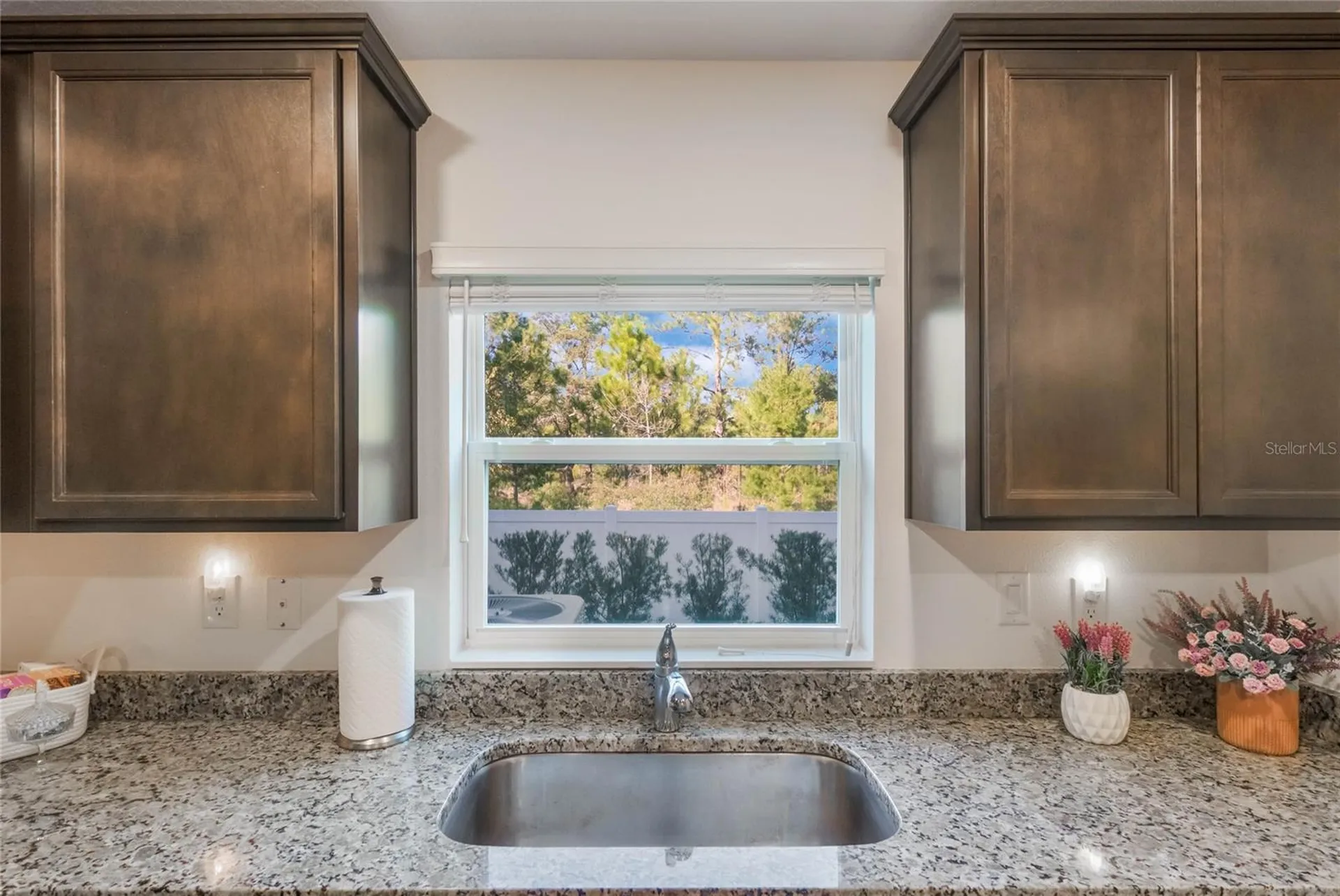 1592 Wynford Circle Tavares FL 32778