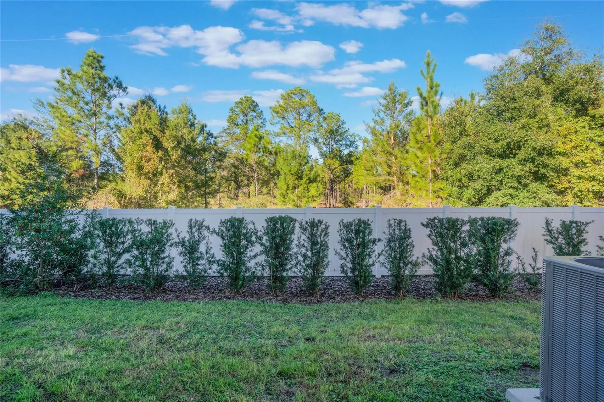 1592 Wynford Circle Tavares FL 32778