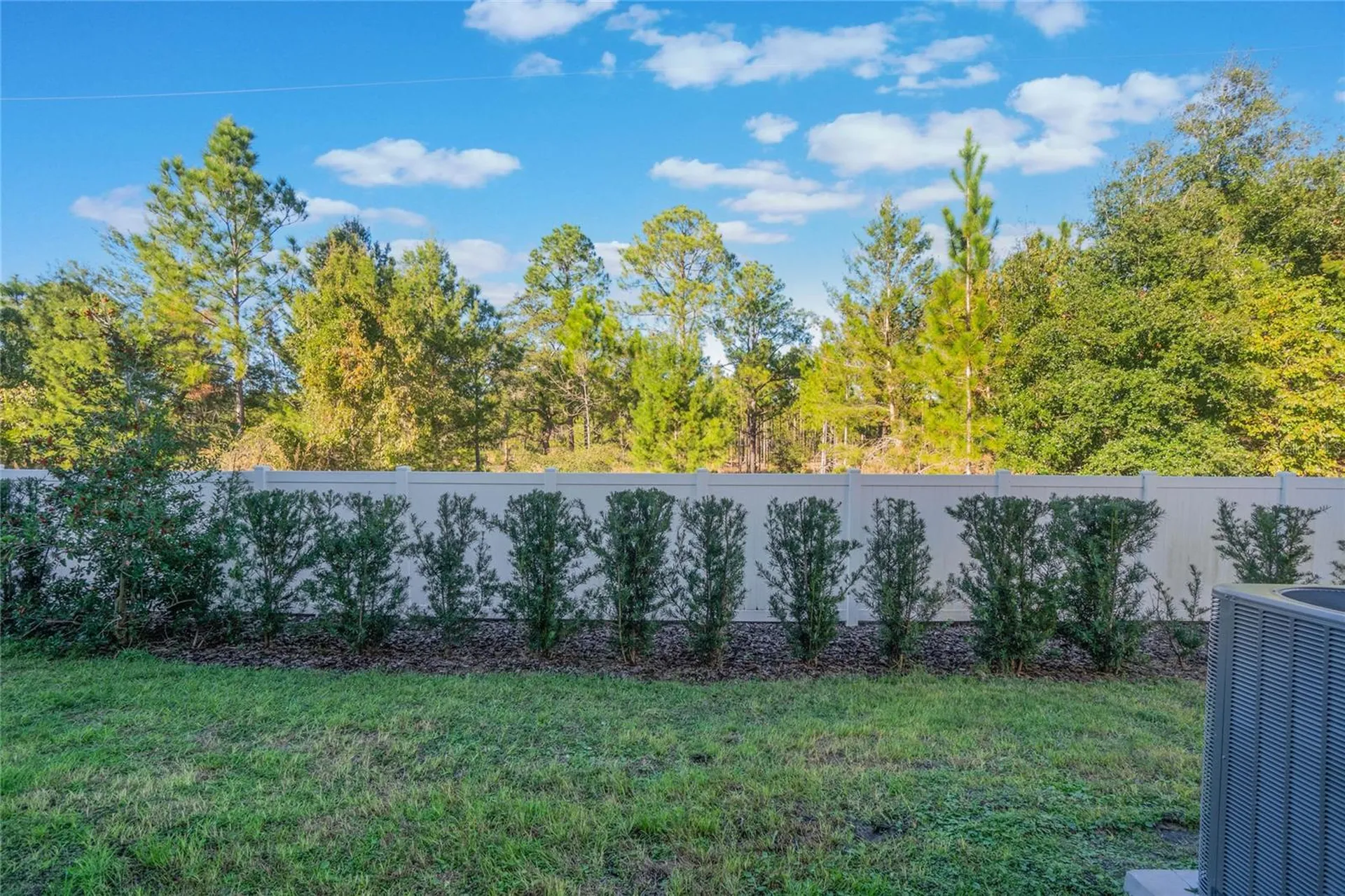 1592 Wynford Circle Tavares FL 32778