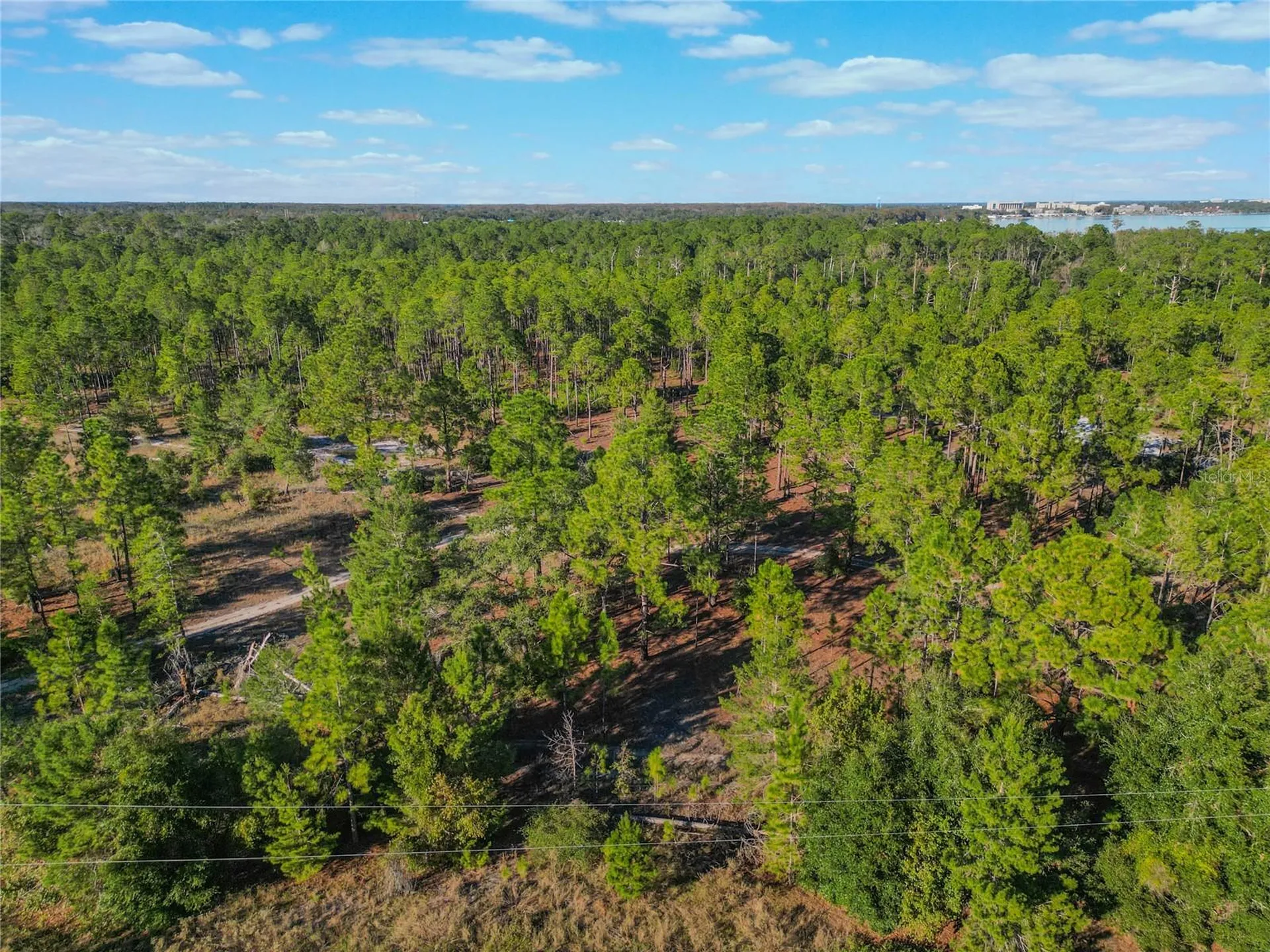 1592 Wynford Circle Tavares FL 32778