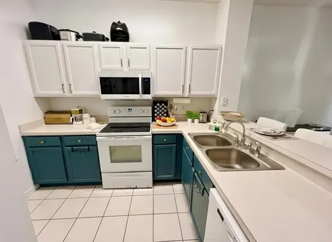 8439 Crystal Cove Loop Kissimmee FL 34747