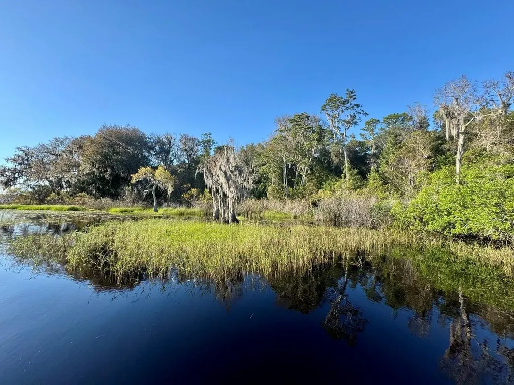 45202 Nfs Road 572-b Altoona FL 32702