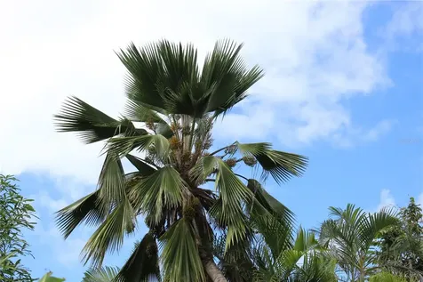 236 Acacia Vieques PR 00765