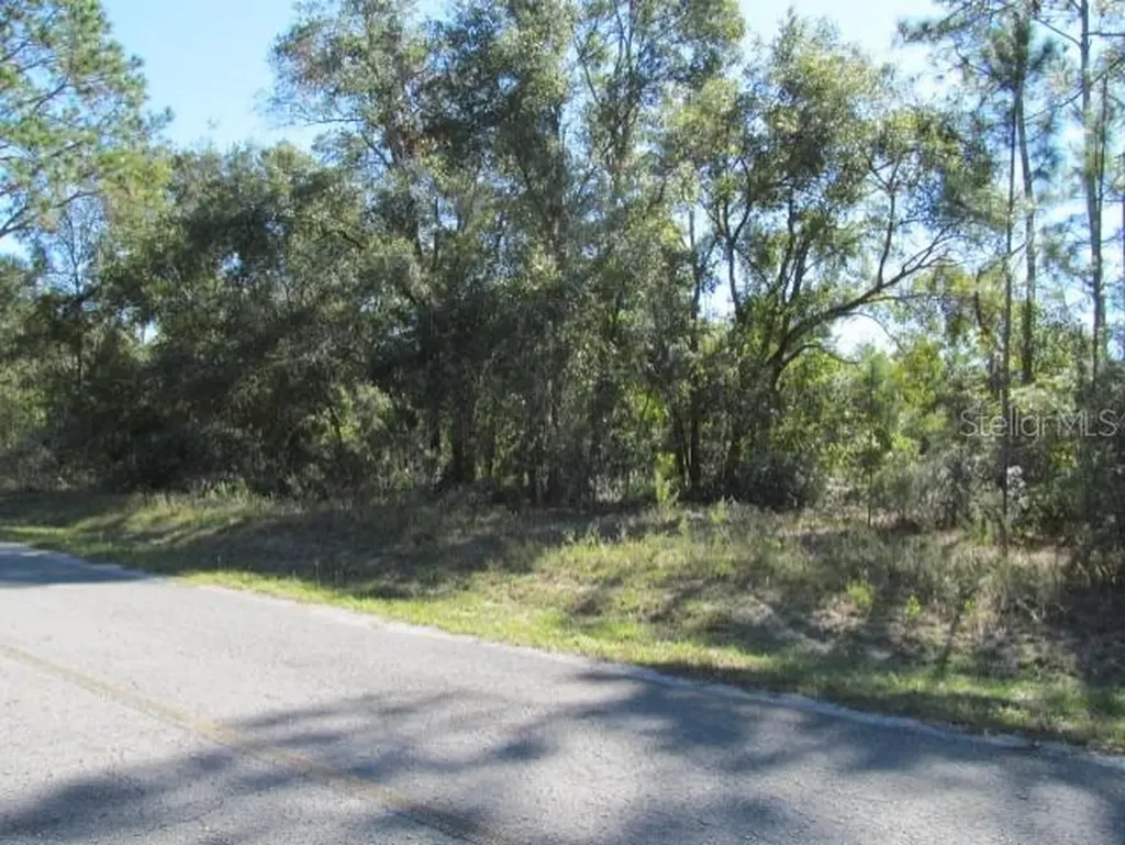 00 SE 169th Court Ocklawaha FL 32179