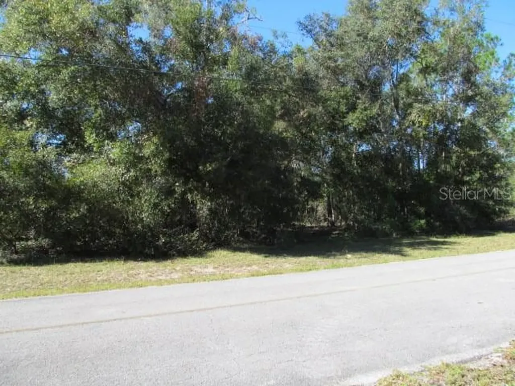 00 SE 169th Court Ocklawaha FL 32179