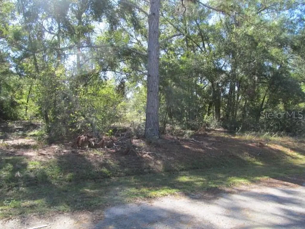 00 SE 169th Court Ocklawaha FL 32179
