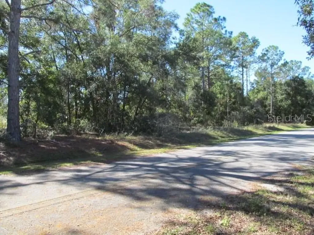 00 SE 169th Court Ocklawaha FL 32179
