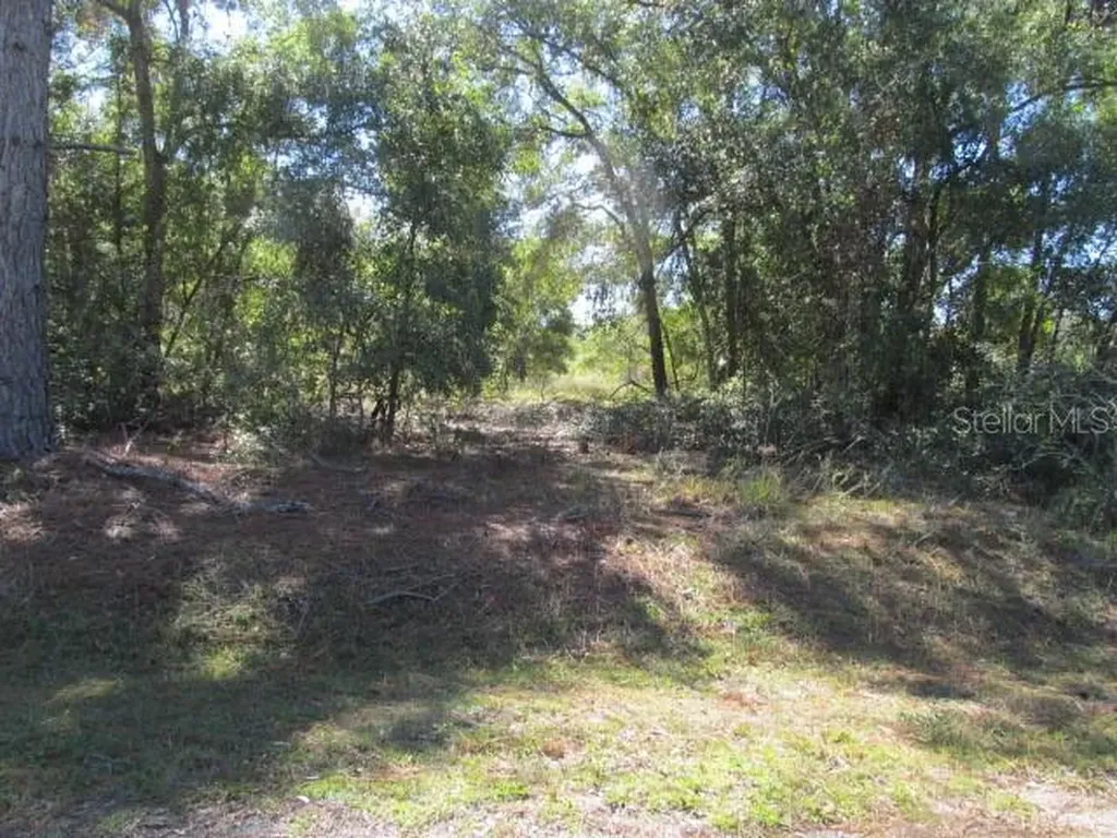 00 SE 169th Court Ocklawaha FL 32179
