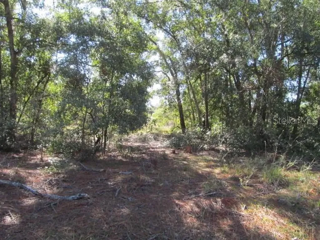 00 SE 169th Court Ocklawaha FL 32179