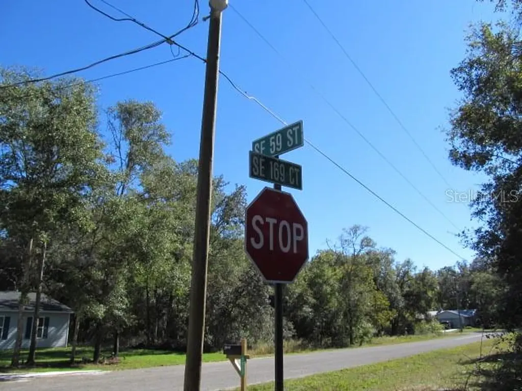 00 SE 169th Court Ocklawaha FL 32179