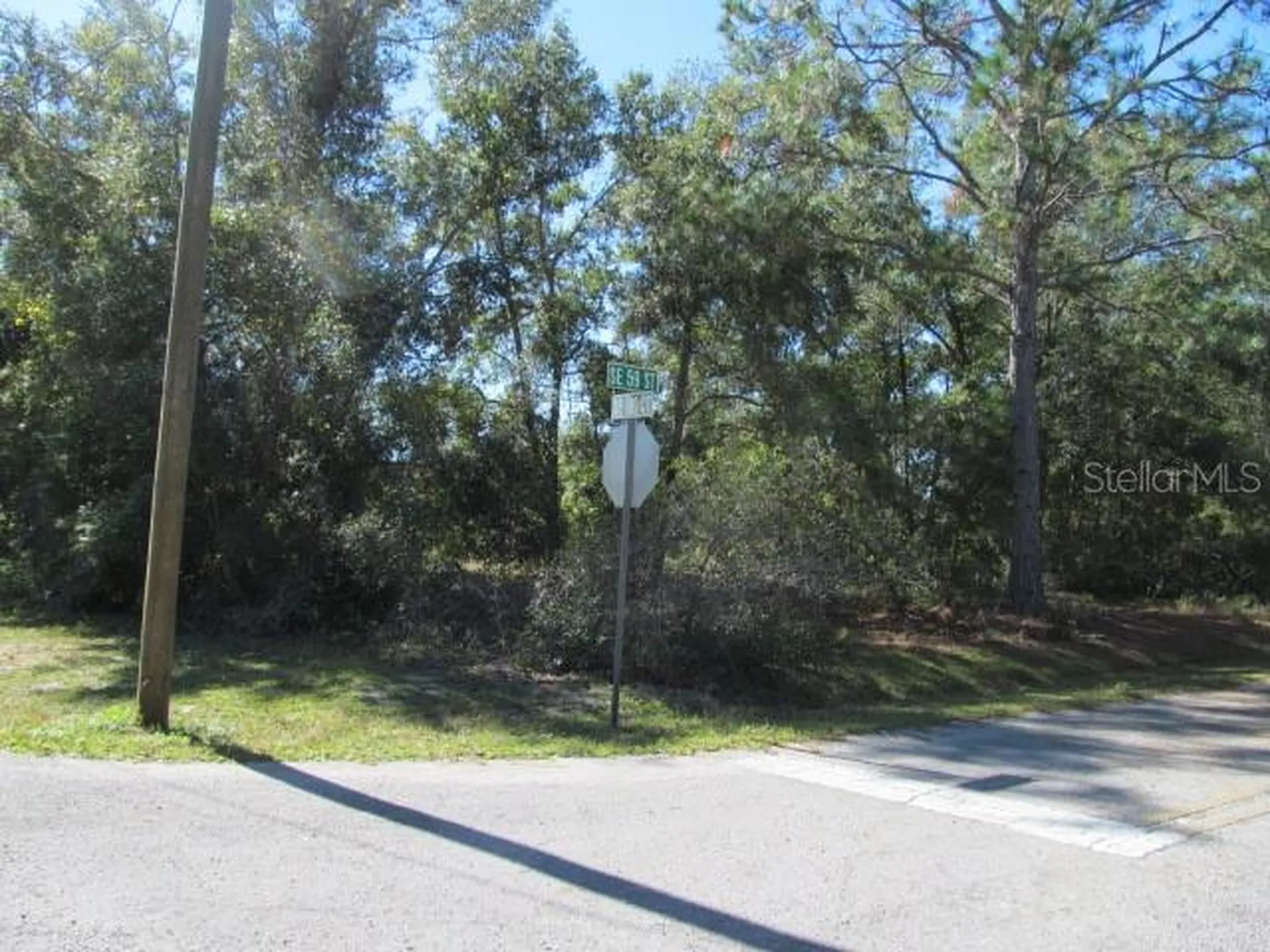 00 SE 169th Court Ocklawaha FL 32179
