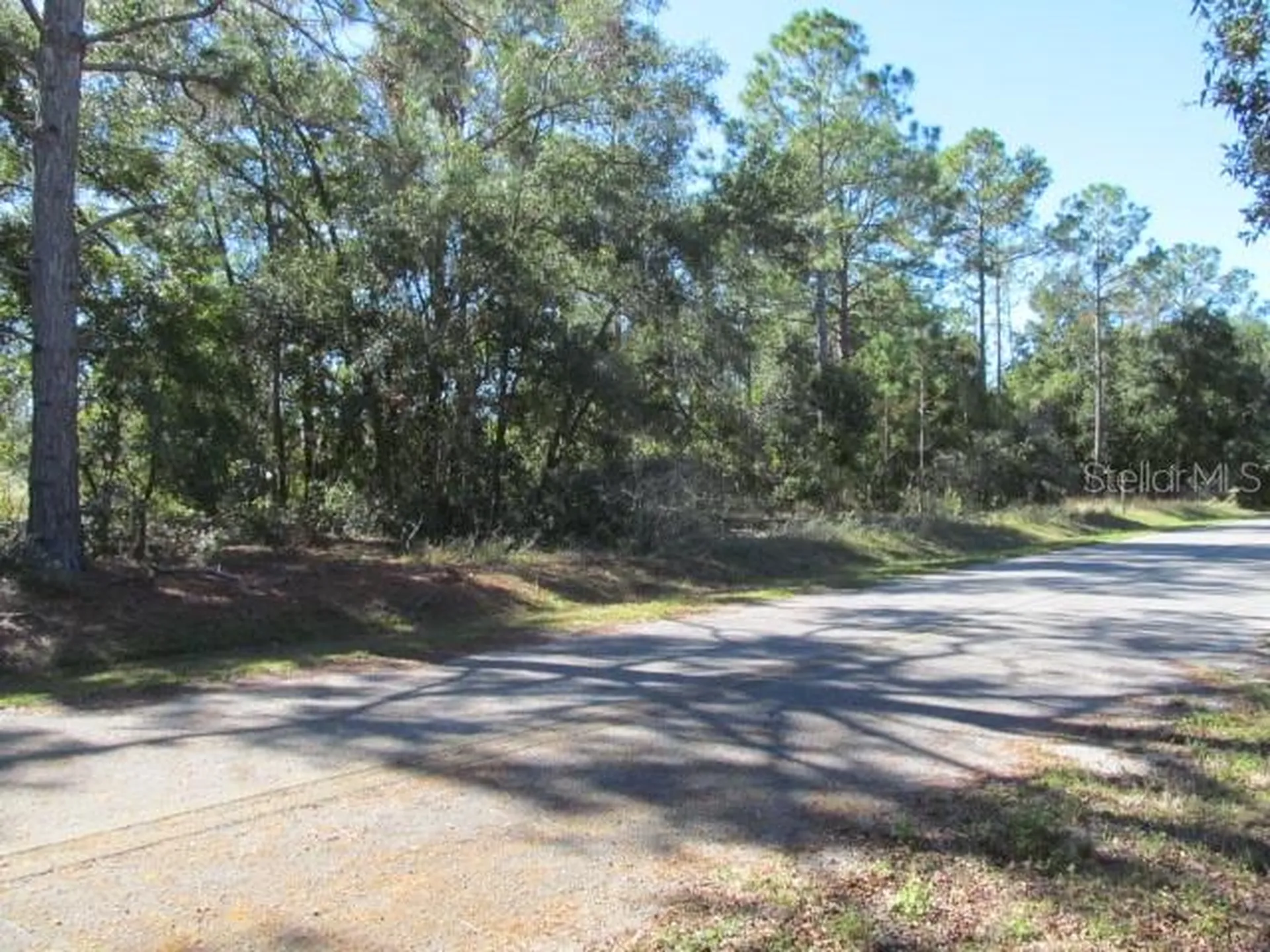 00 SE 169th Court Ocklawaha FL 32179