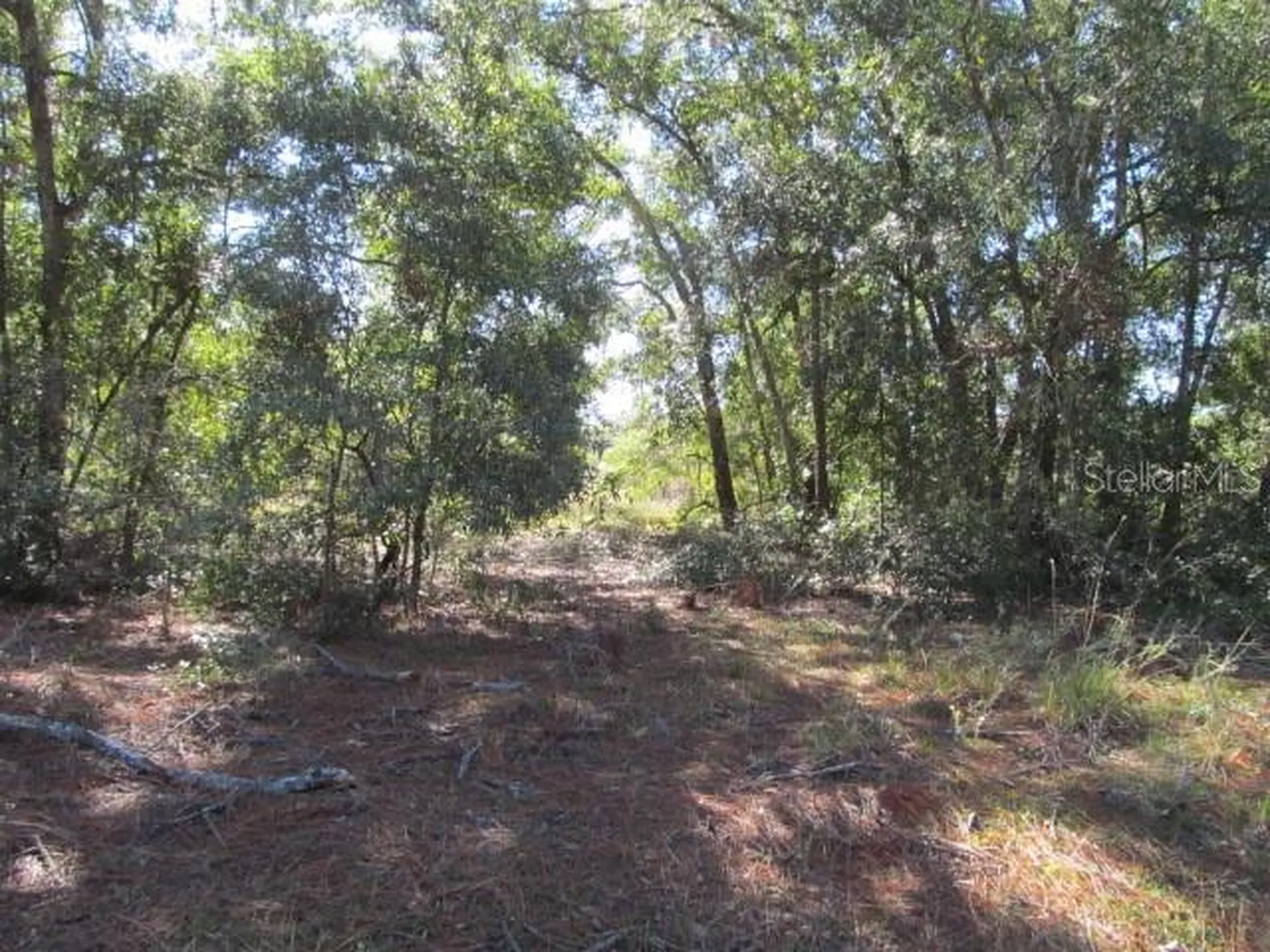 00 SE 169th Court Ocklawaha FL 32179