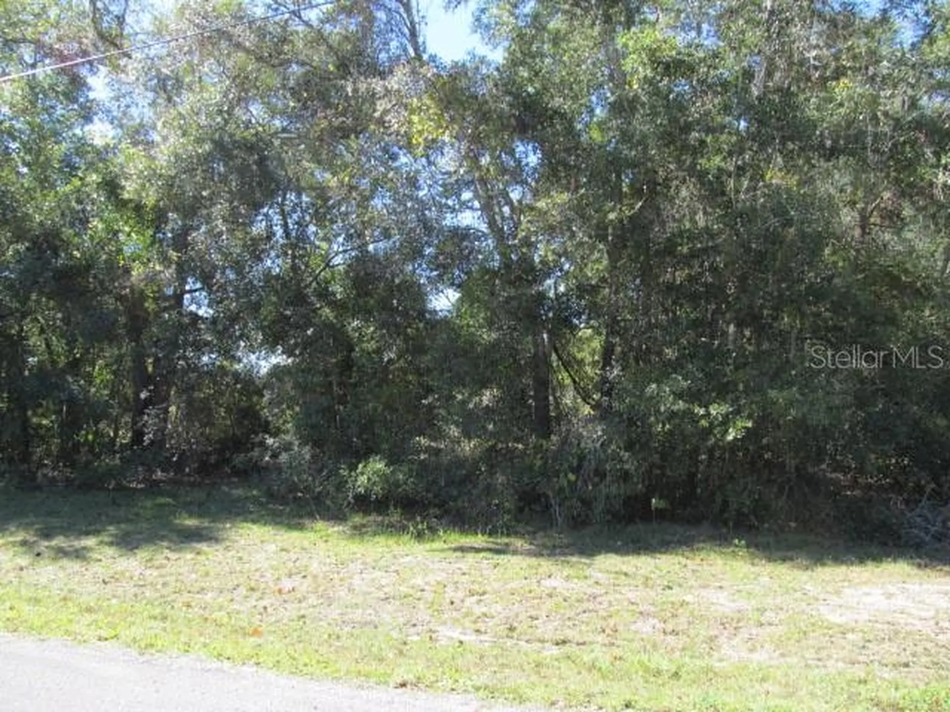 00 SE 169th Court Ocklawaha FL 32179
