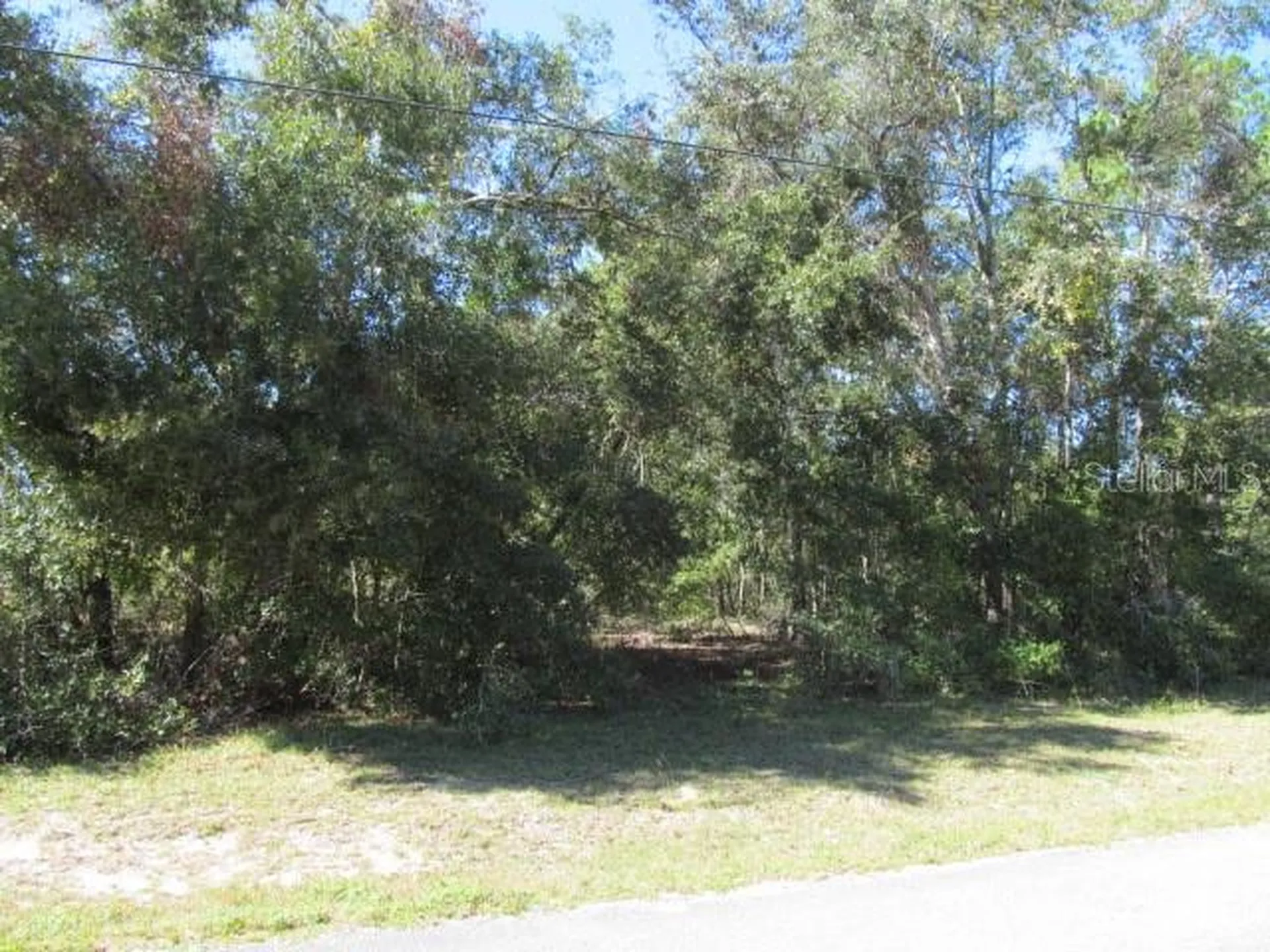 00 SE 169th Court Ocklawaha FL 32179