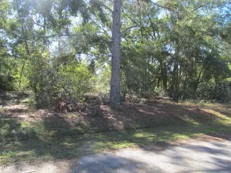 00 SE 169th Court Ocklawaha FL 32179