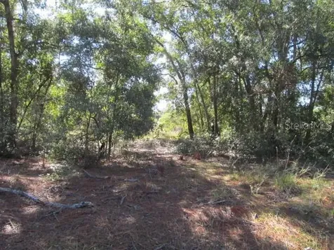 00 SE 169th Court Ocklawaha FL 32179