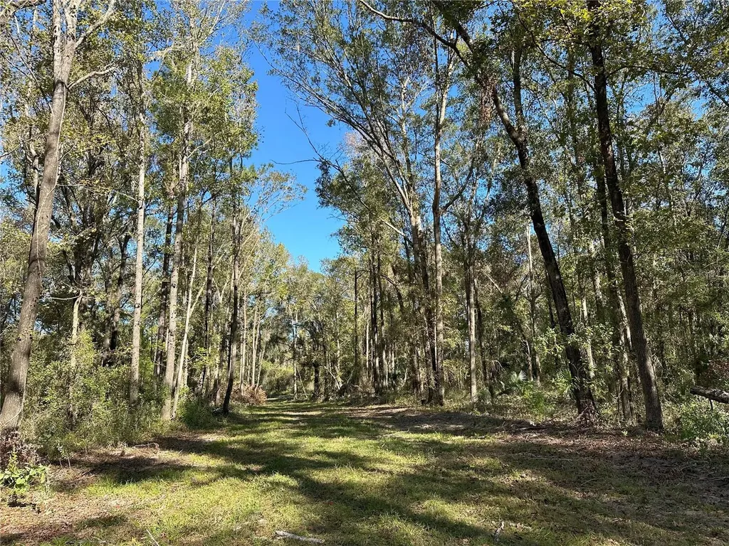 55AC W Highway 318 Reddick FL 32686