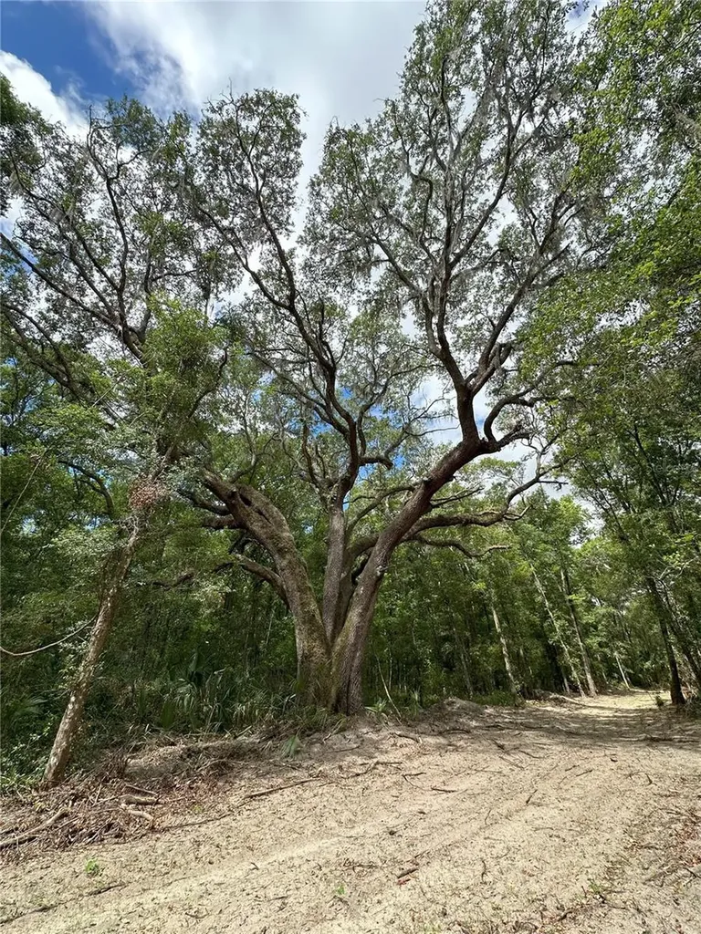 55AC W Highway 318 Reddick FL 32686