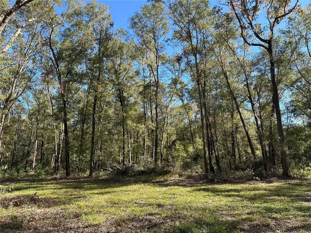 55AC W Highway 318 Reddick FL 32686