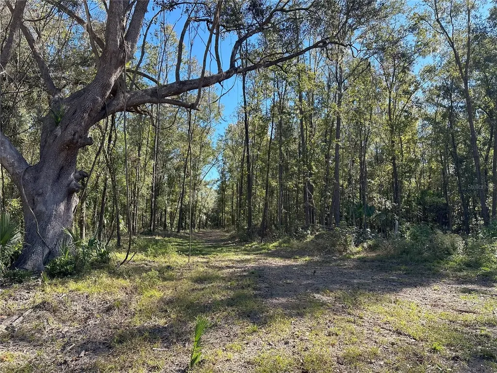 55AC W Highway 318 Reddick FL 32686