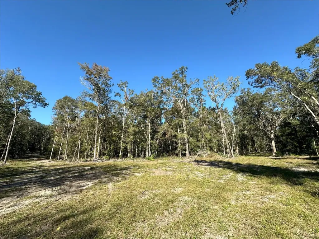 55AC W Highway 318 Reddick FL 32686