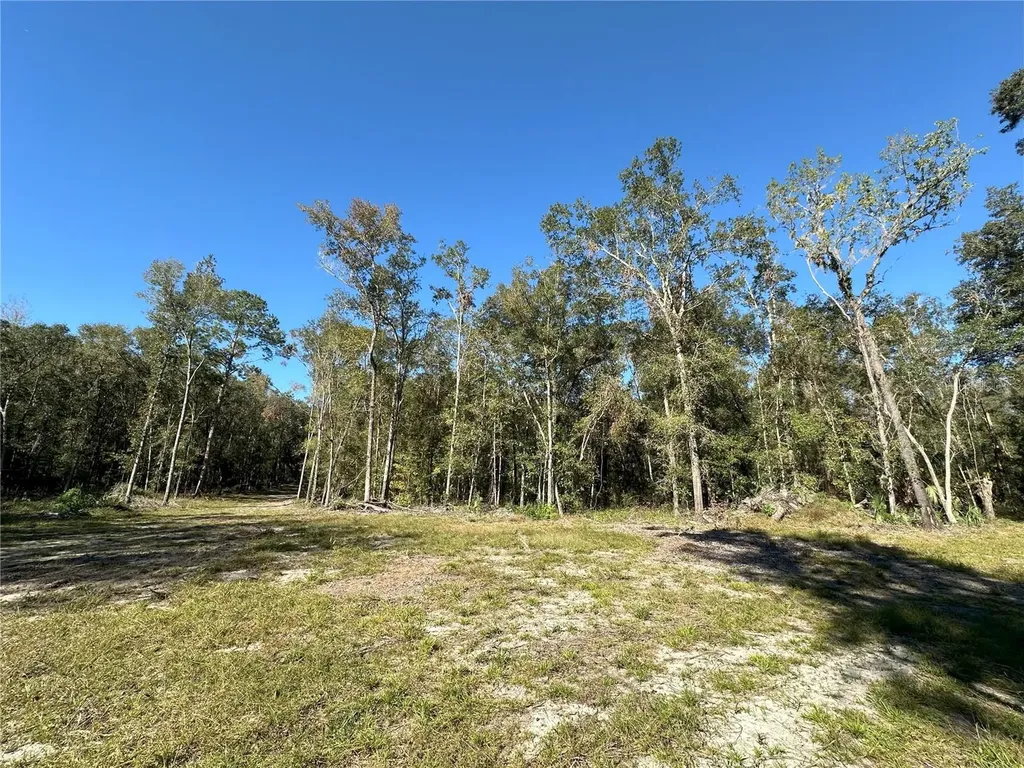 55AC W Highway 318 Reddick FL 32686