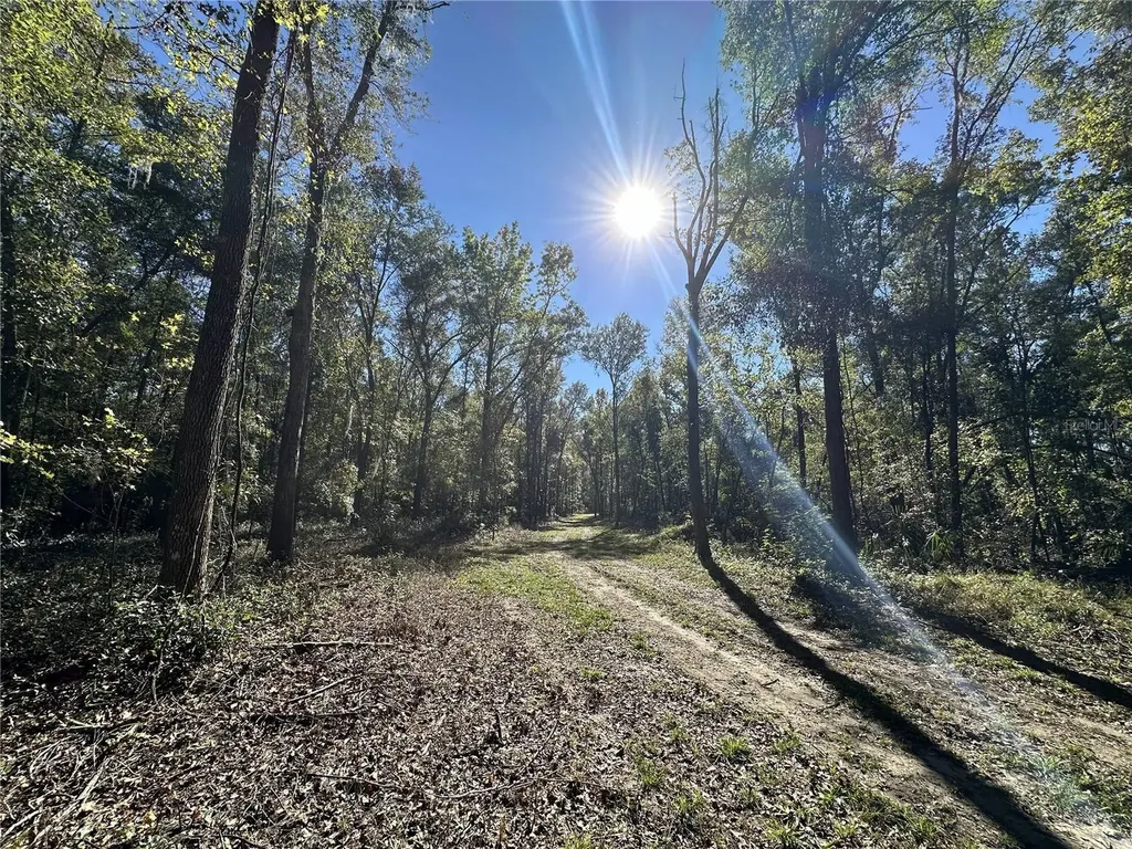 55AC W Highway 318 Reddick FL 32686