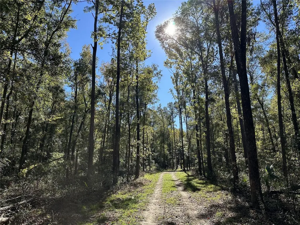 55AC W Highway 318 Reddick FL 32686