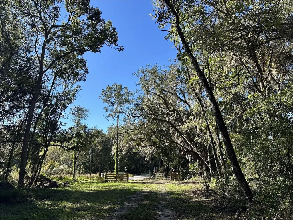 55AC W Highway 318 Reddick FL 32686